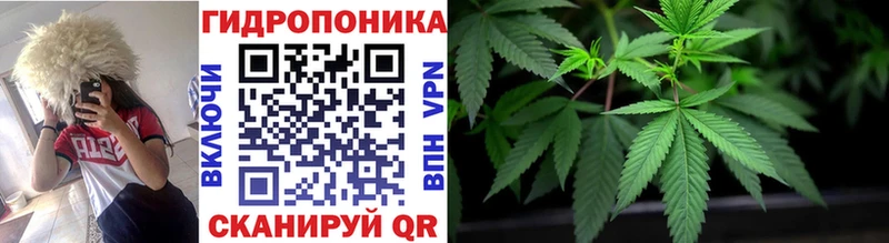 Где найти наркотики Элиста Героин  КОКАИН  Меф мяу мяу  Каннабис  Амфетамин 
