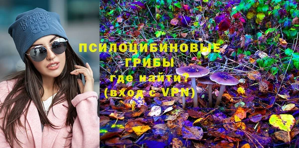 гидра Алексин