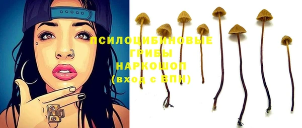 ALPHA PVP Алексеевка