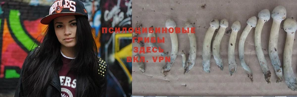 прущая мука Елизово