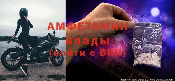 гидра Алексин