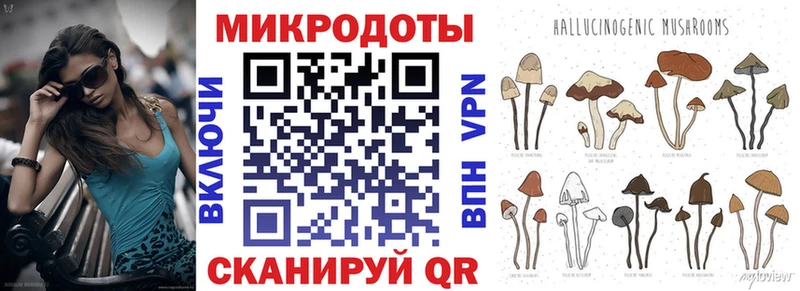 где продают наркотики  Элиста  Галлюциногенные грибы прущие грибы 