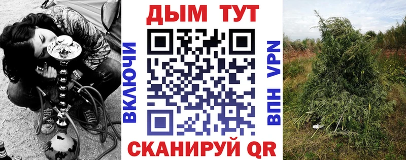 Бошки марихуана Bruce Banner  Элиста 
